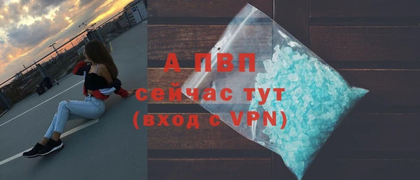 стаф Богородицк