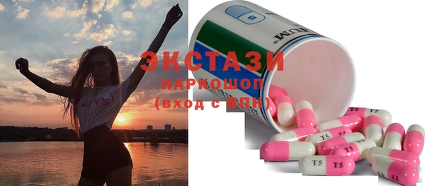 стаф Богородицк