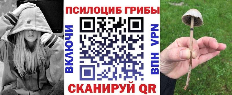мориарти официальный сайт  mega как войти  Высоковск  Псилоцибиновые грибы Psilocybe 